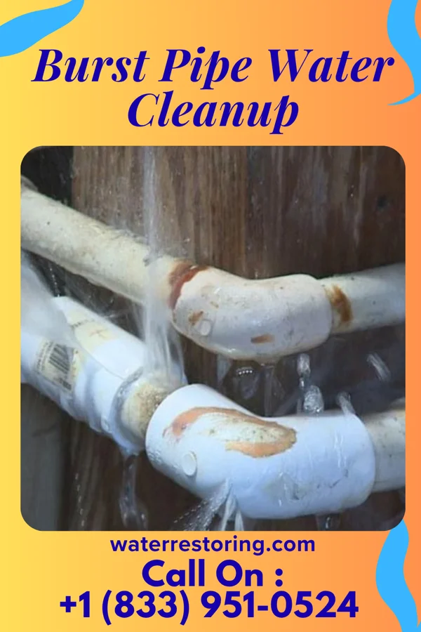 Burst Pipe Water Cleanup in Louisiana, MO