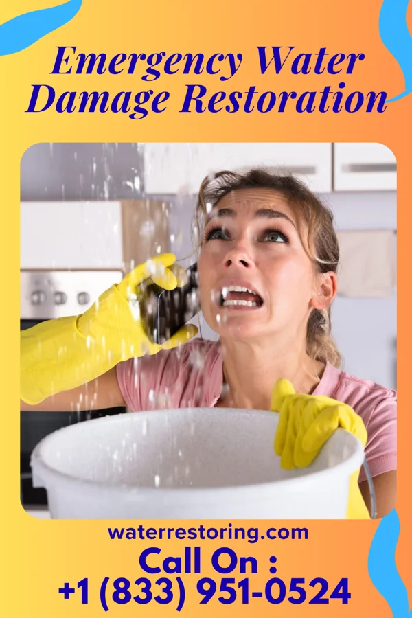 Emergency Water Damage Restoration in Louisiana, MO