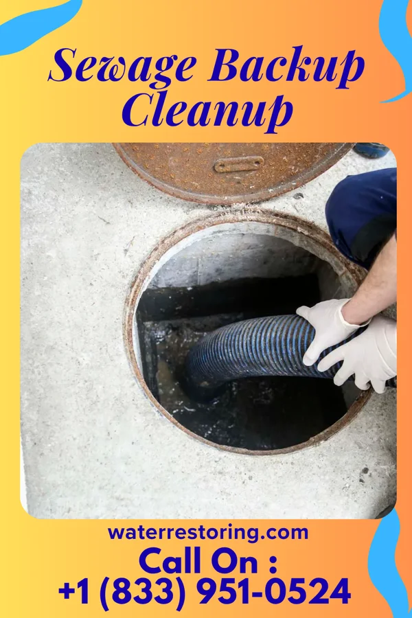 Sewage Backup Cleanup in Louisiana, MO