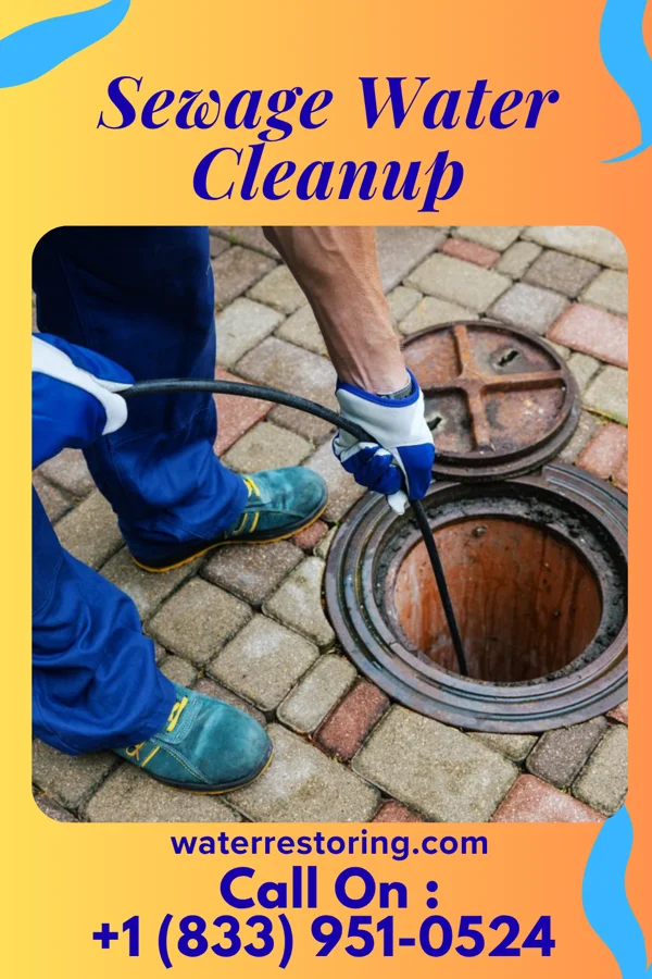 Sewage Water Cleanup in Louisiana, MO